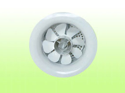 ����̬���