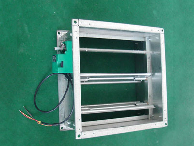 MD�綯��Ҷ���ڷ�