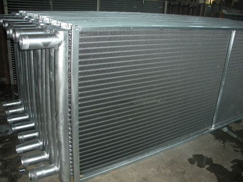 �������ⲭ